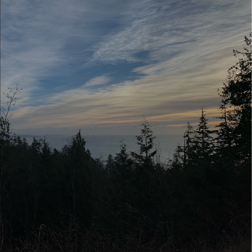 Meet your Posher, Bailey